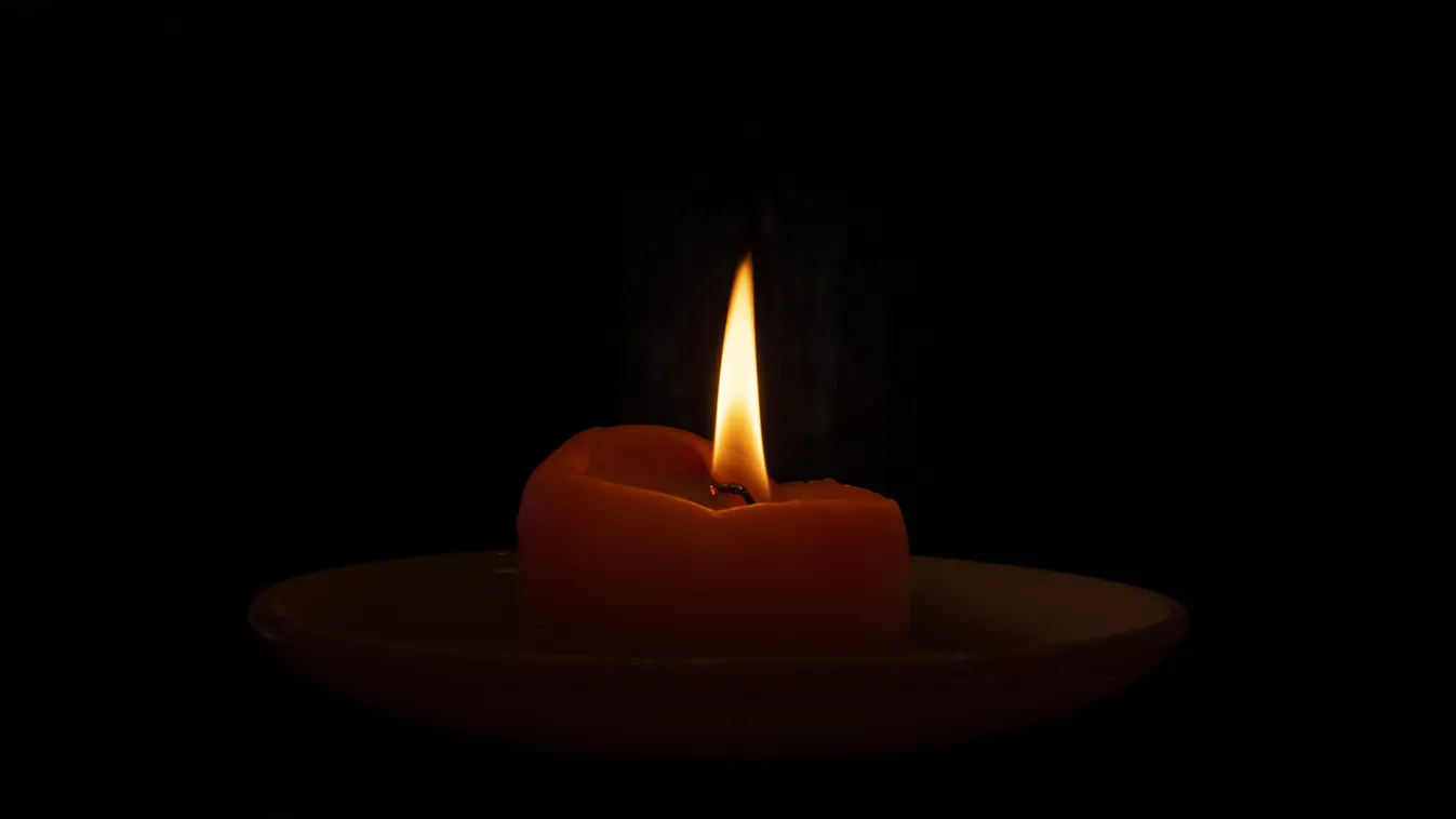 Mindössze 25 éves volt: elhunyt Az oroszlánkirály sztárja