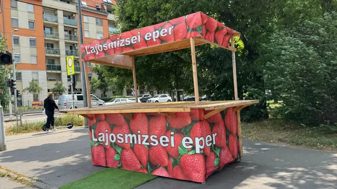 Megijedtek az eperárusok a Nébihtől: üresen állnak a standok