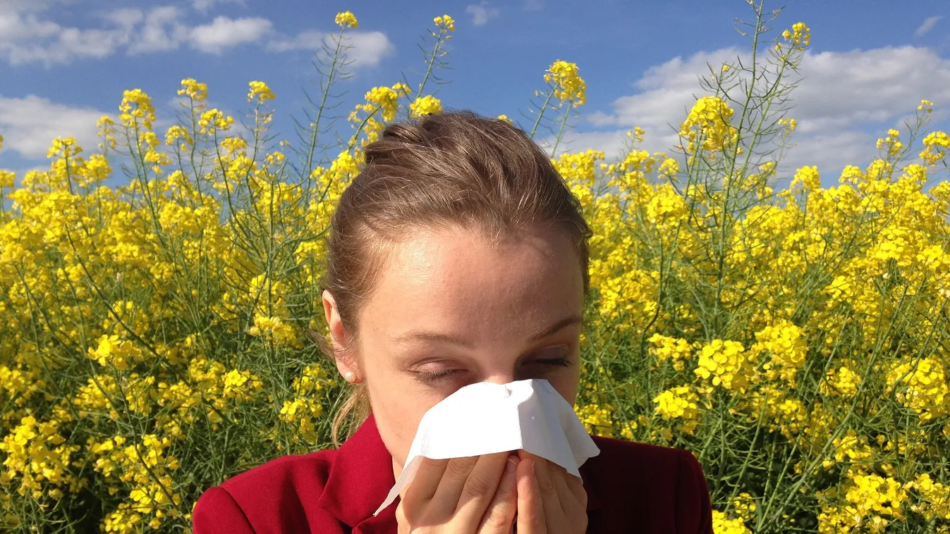 Ezeket tudjuk rosszul az allergiáról