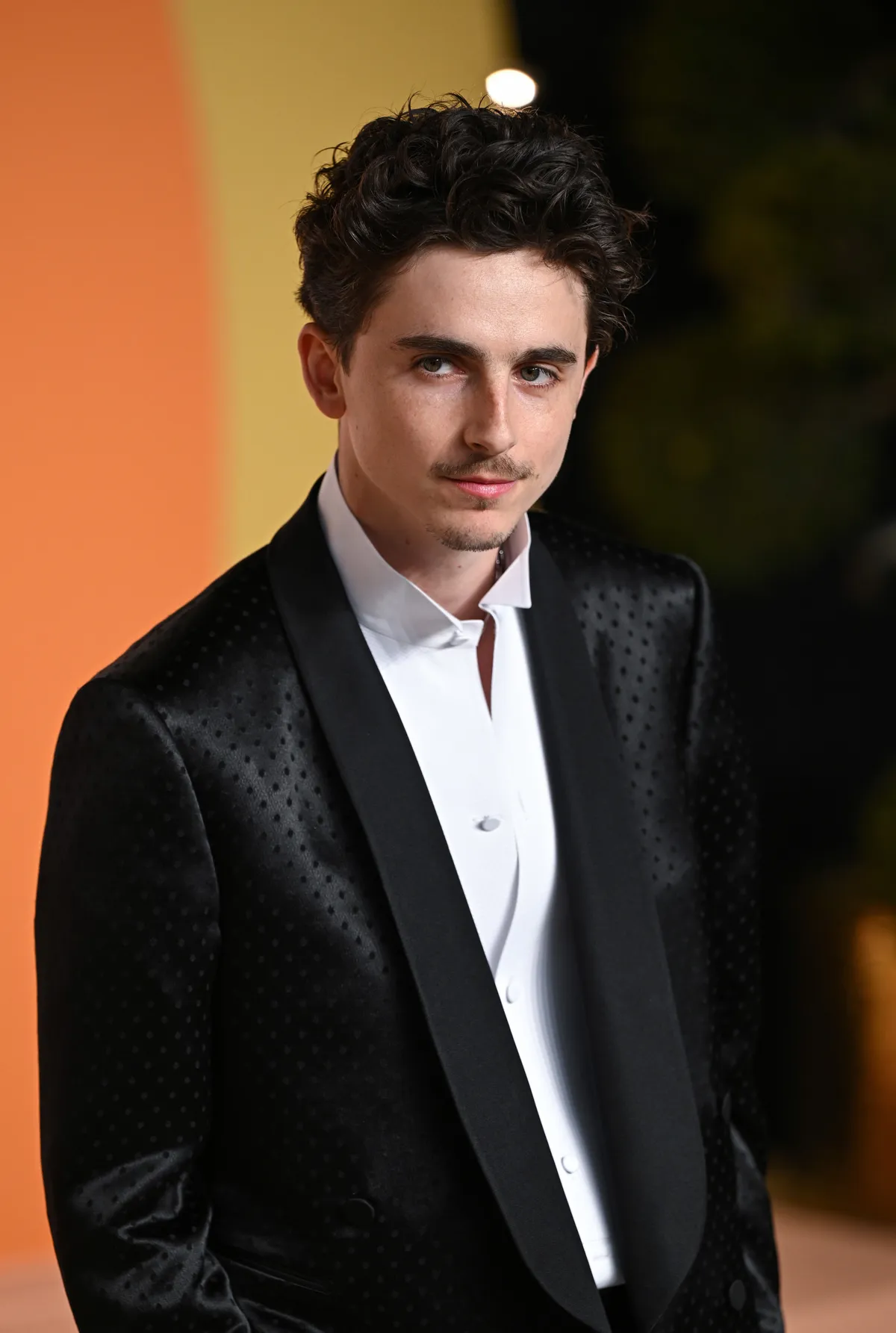 Vanity Fair Oscar Party, Timothée Chalamet