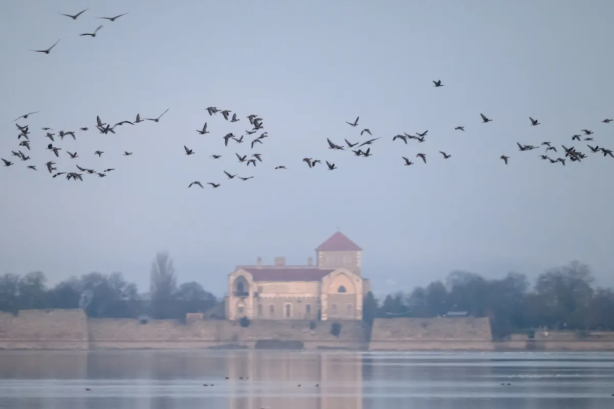 Tatai kirándulás, Öreg-tó, vár, városlátogatás