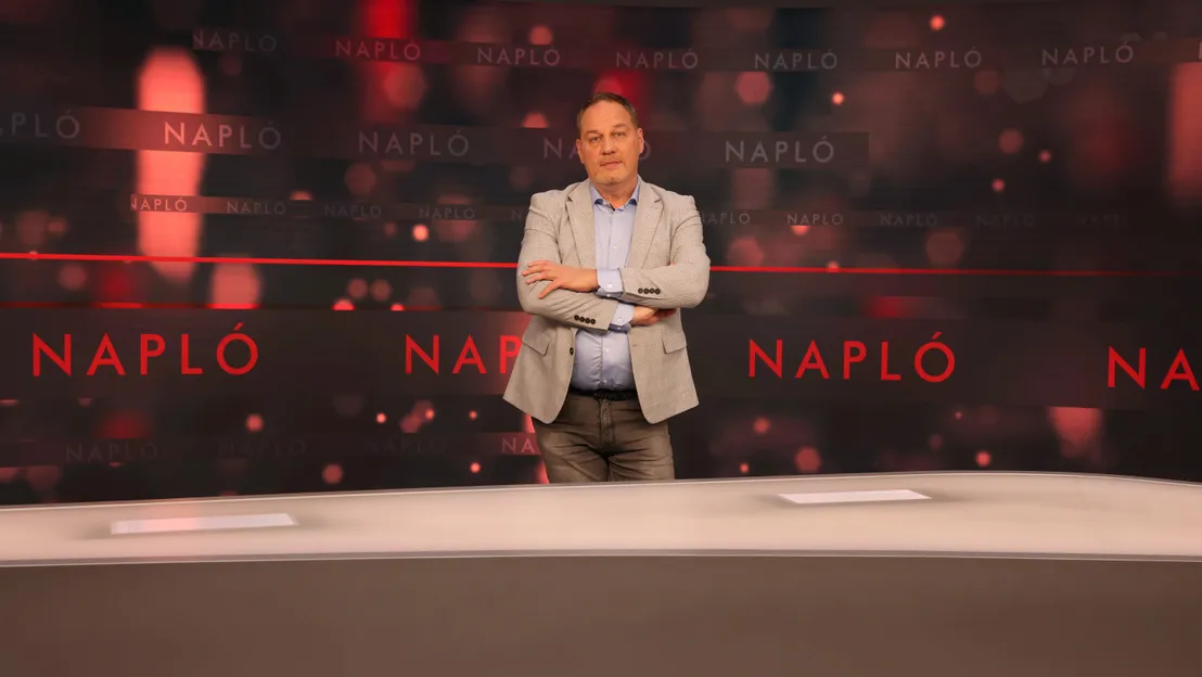 napló