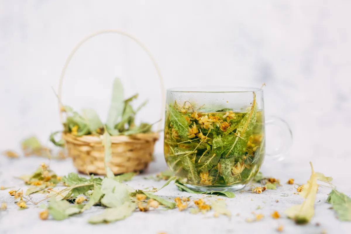 Linden,Tea,In,A,Glass,Cup,On,A,White,Background.