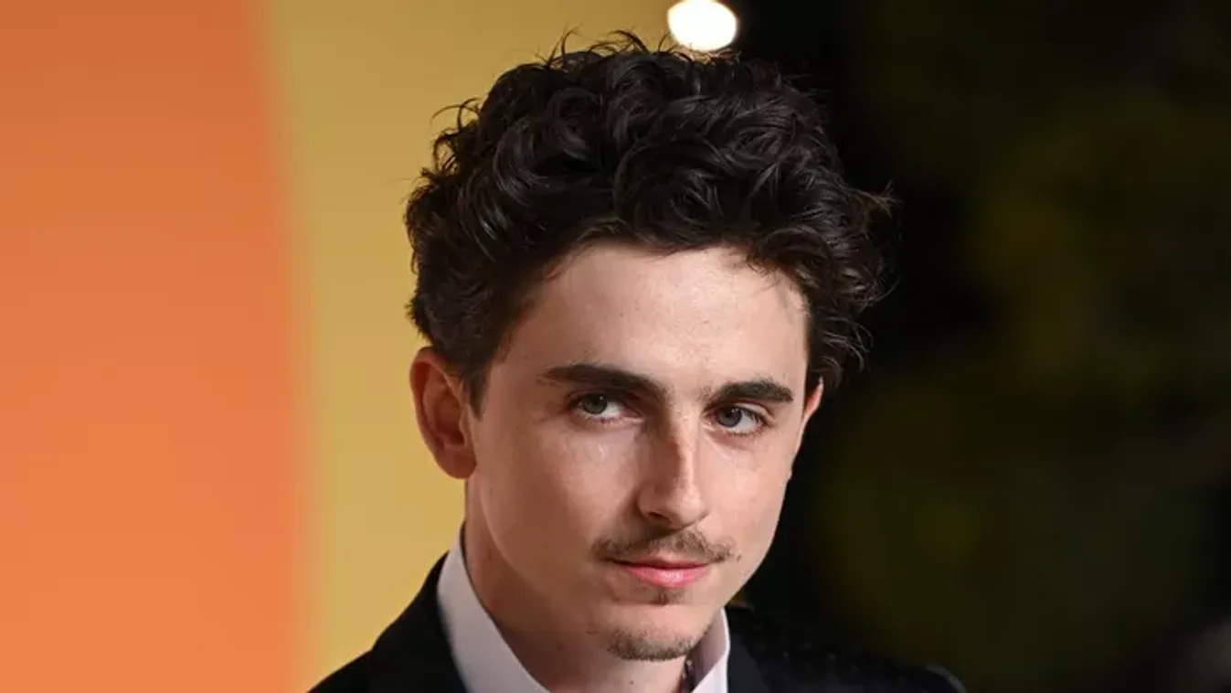 Timothée Chalametnek tini ikrei lesznek Zendayától! De, hogy kerül ide Jason Momoa?