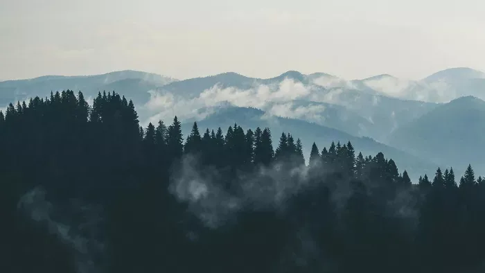  Szörnyű kínhalált halt a népszerű énekesnő