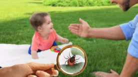 Így lesz a legjobb az idei nyarad: filléres, de hatékony megoldások kullancsok ellen
