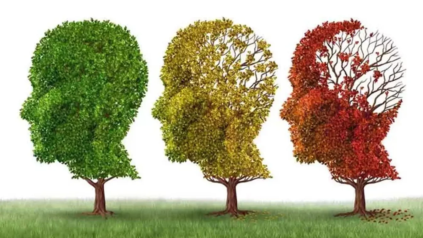 Hihetetlen felfedezés: két hétköznapi gyógyszer visszafordíthatja az Alzheimer-kórt