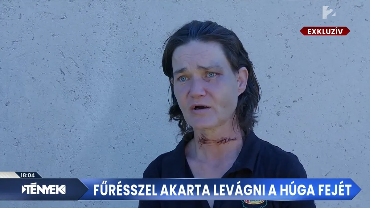 Tények