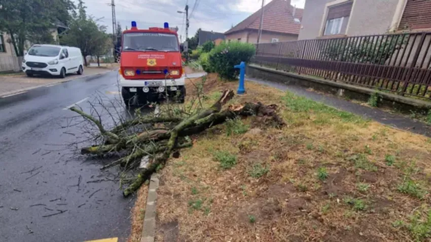 Kidőlt fák, leszakadt tetők: képeken a hétfői vihar pusztítása