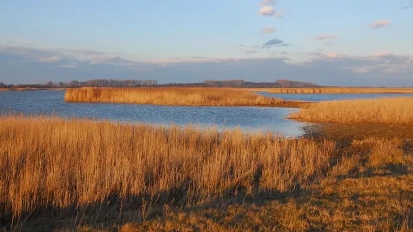 Szívszorító tragédia a parkban: tóból emelték ki a 11 éves fiú holttestét