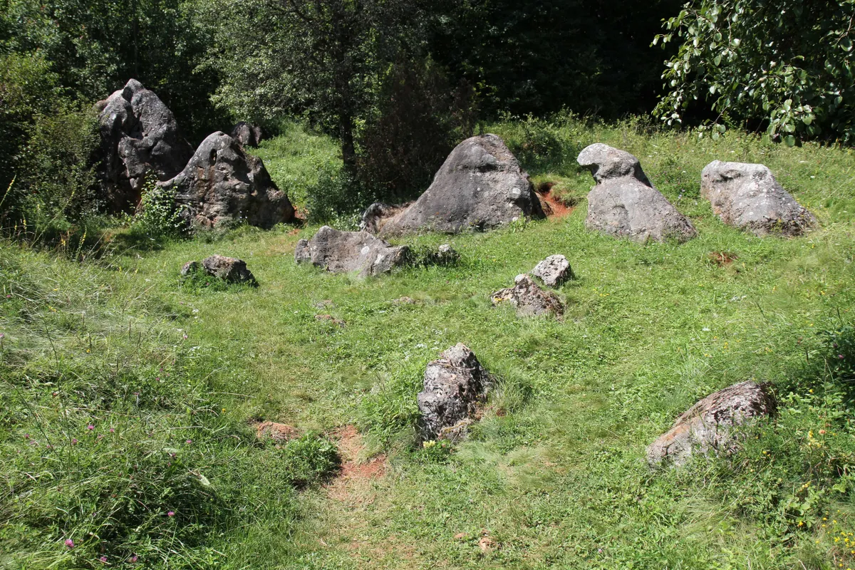 tanösvény, túra