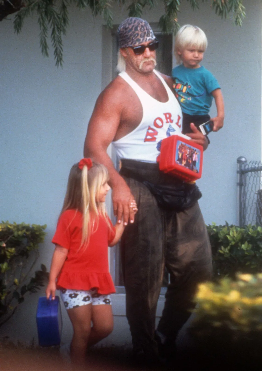 Hulk Hogan galéria