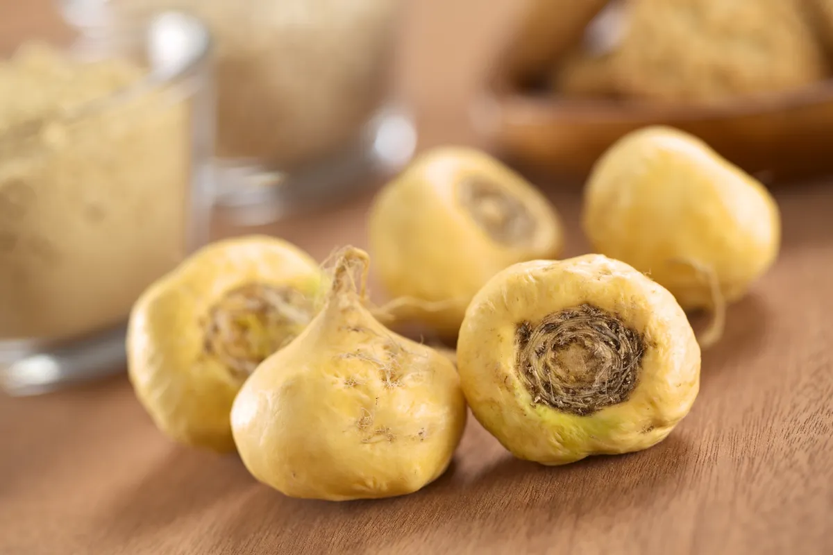libidó, maca gyökér