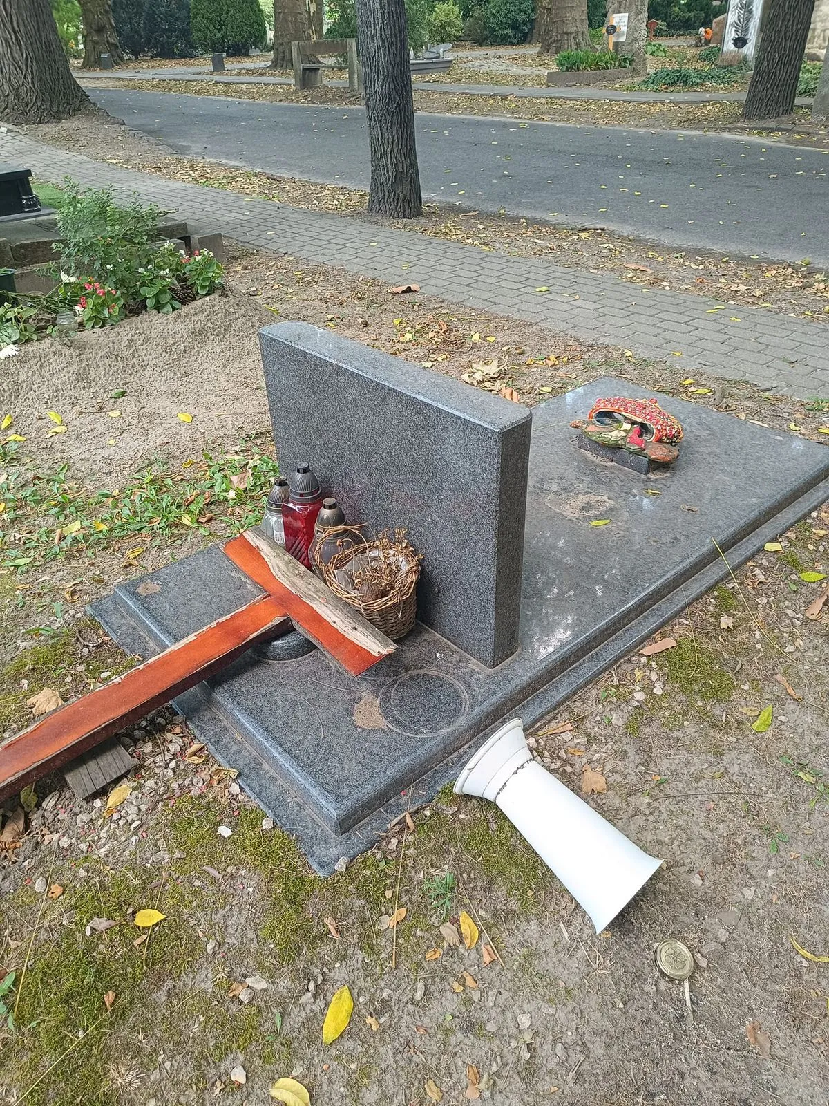 Kovács Apollónia