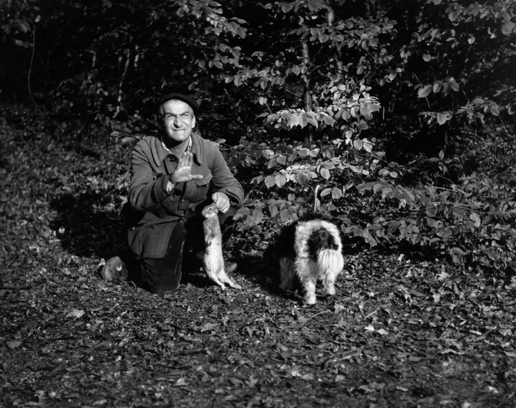 Louis de Funés filmek