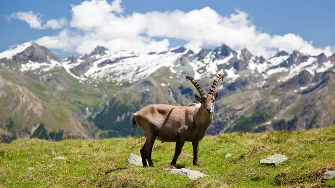 Rejtélyes falvak a felhők felett – A Valle d’Aosta legvarázslatosabb titkai egy helyen