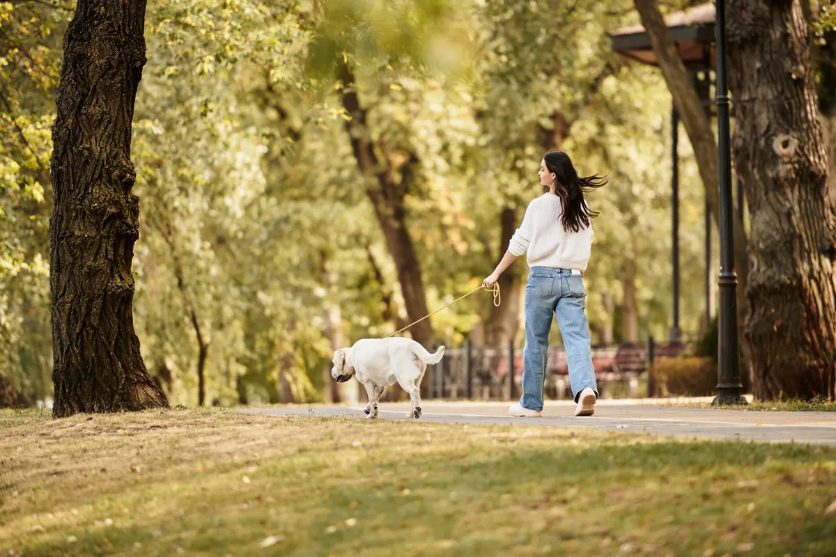 gyaloglás, kutyasétáltatás