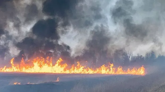 Tomboló tűz terjed nagy területen Kecskemétnél