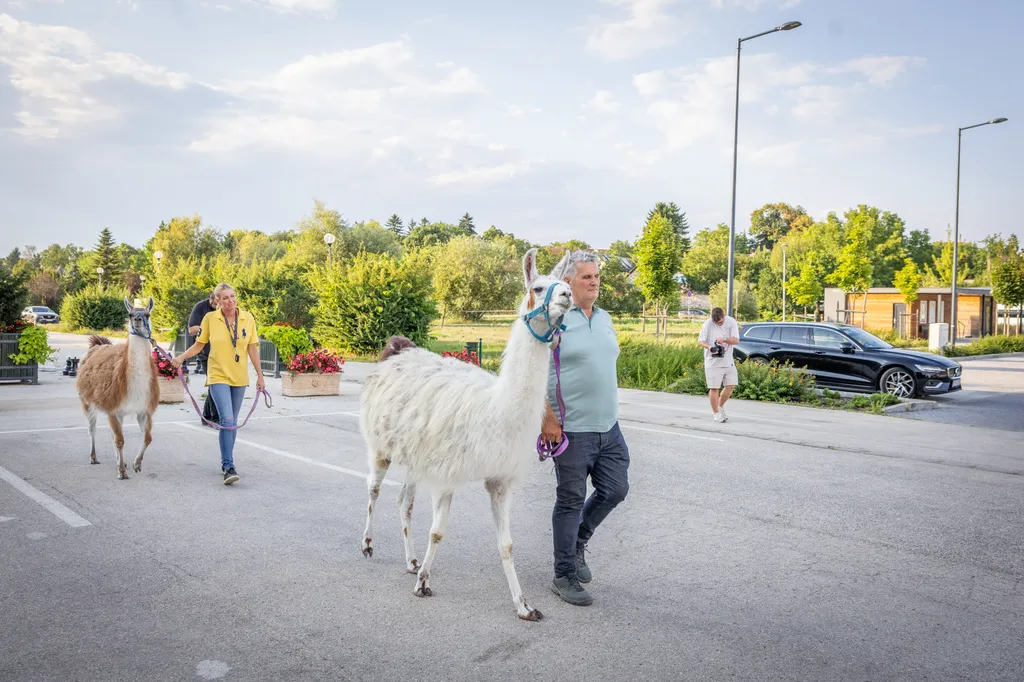Önkormányzati ülés (szerkesztett)
