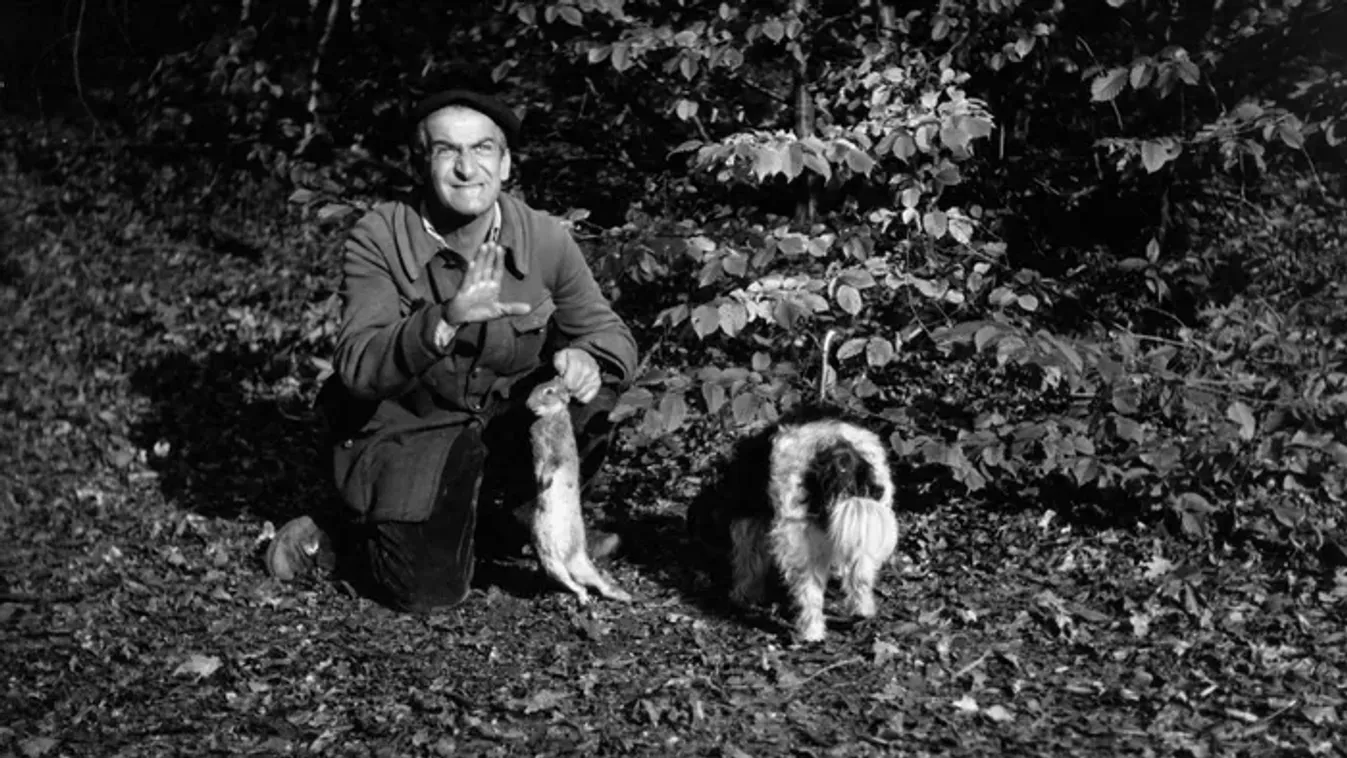 111 éve született az ezerarcú Lütyő felügyelő: ilyen volt Louis de Funès élete – Galéria