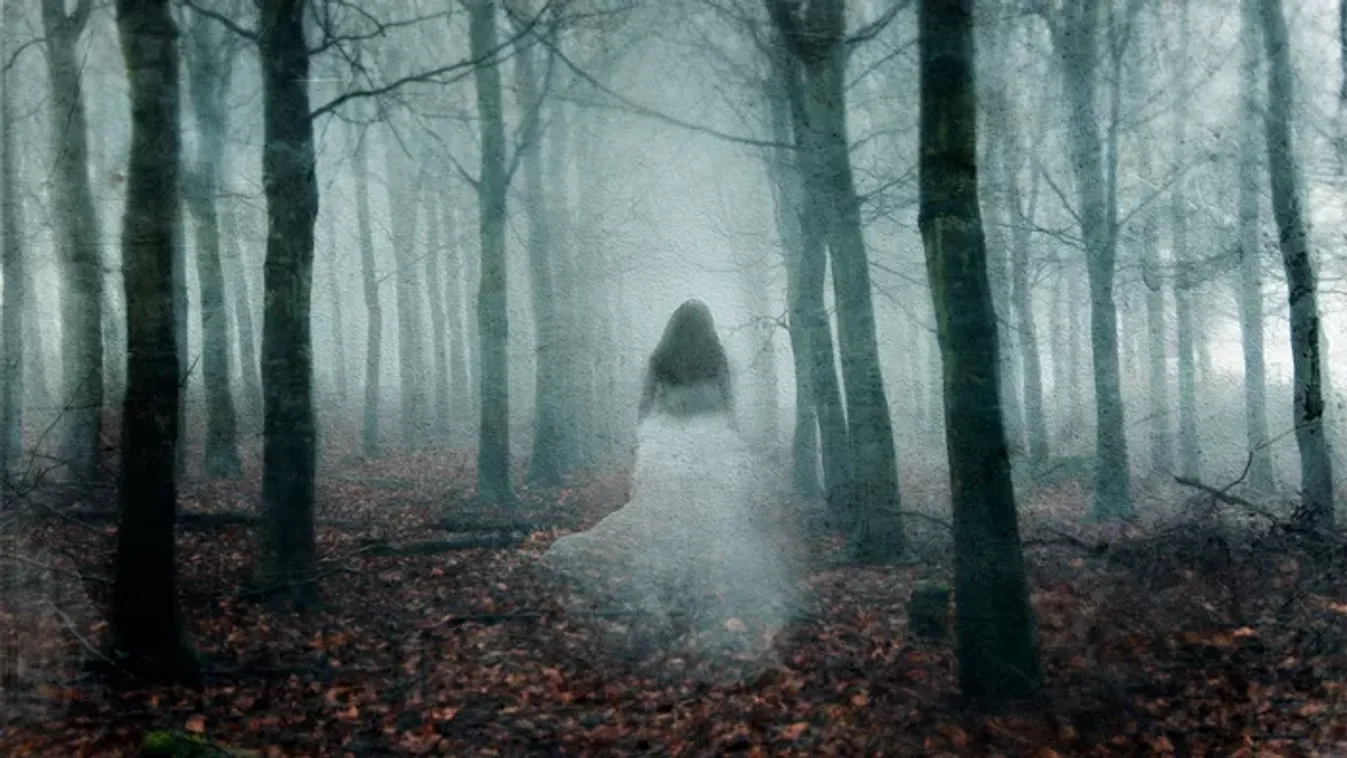 Paranormális jelenséget észleltek a népszerű fesztiválon
