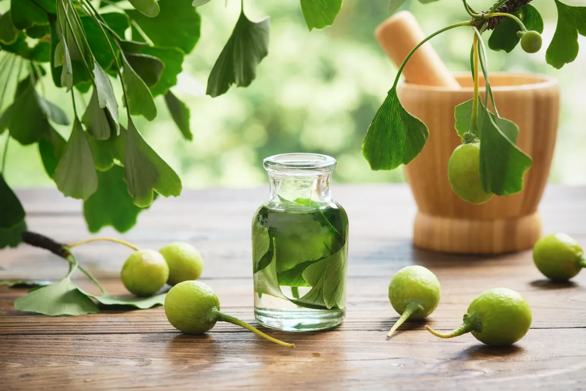 férfiasság, potencia, ginko biloba