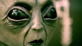 Bizarr földönkívüli lényt kapott lencsevégre egy nő biztonsági kamerája