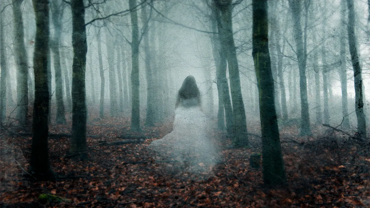 szellem, kísértet, erdő, ősz, paranormális, ezotéria, spiritualizmus