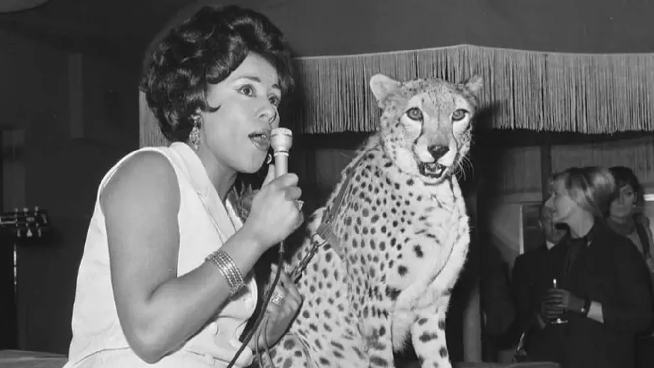60 év után újra sláger: Connie Francis dala meghódította a TikTokot