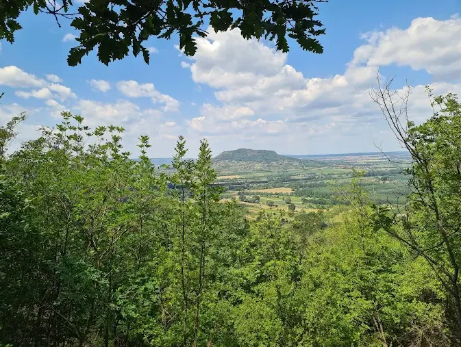 Tűzgyűrű tanösvény