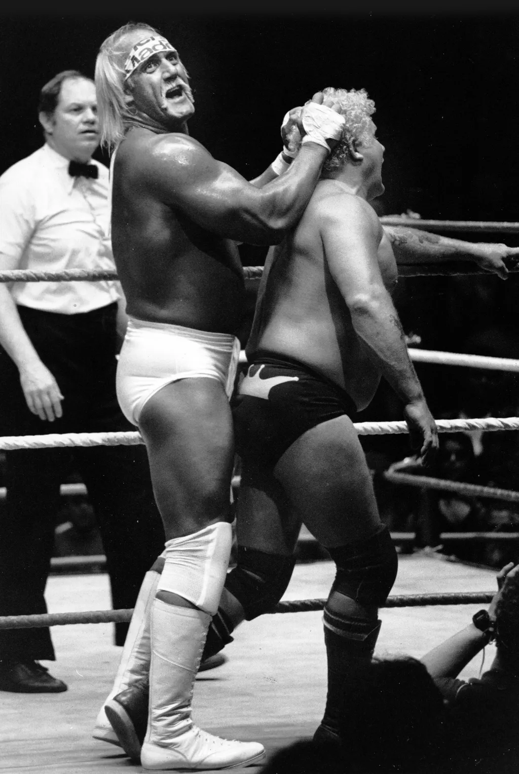 Hulk Hogan galéria