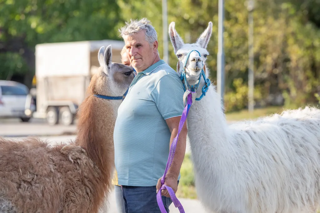 Önkormányzati ülés (szerkesztett)