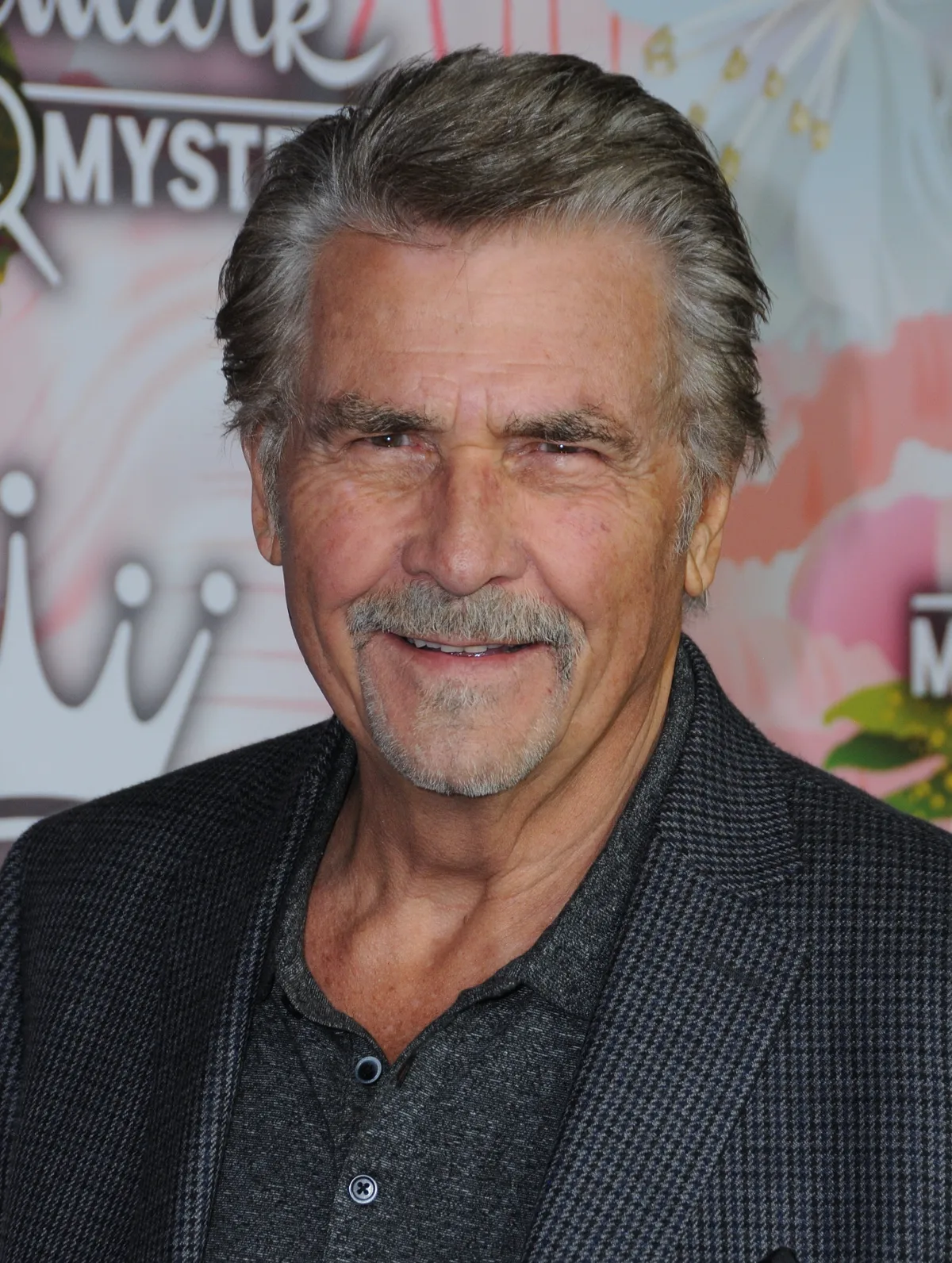 James Brolin, 2018 Hallmark Winter TCA