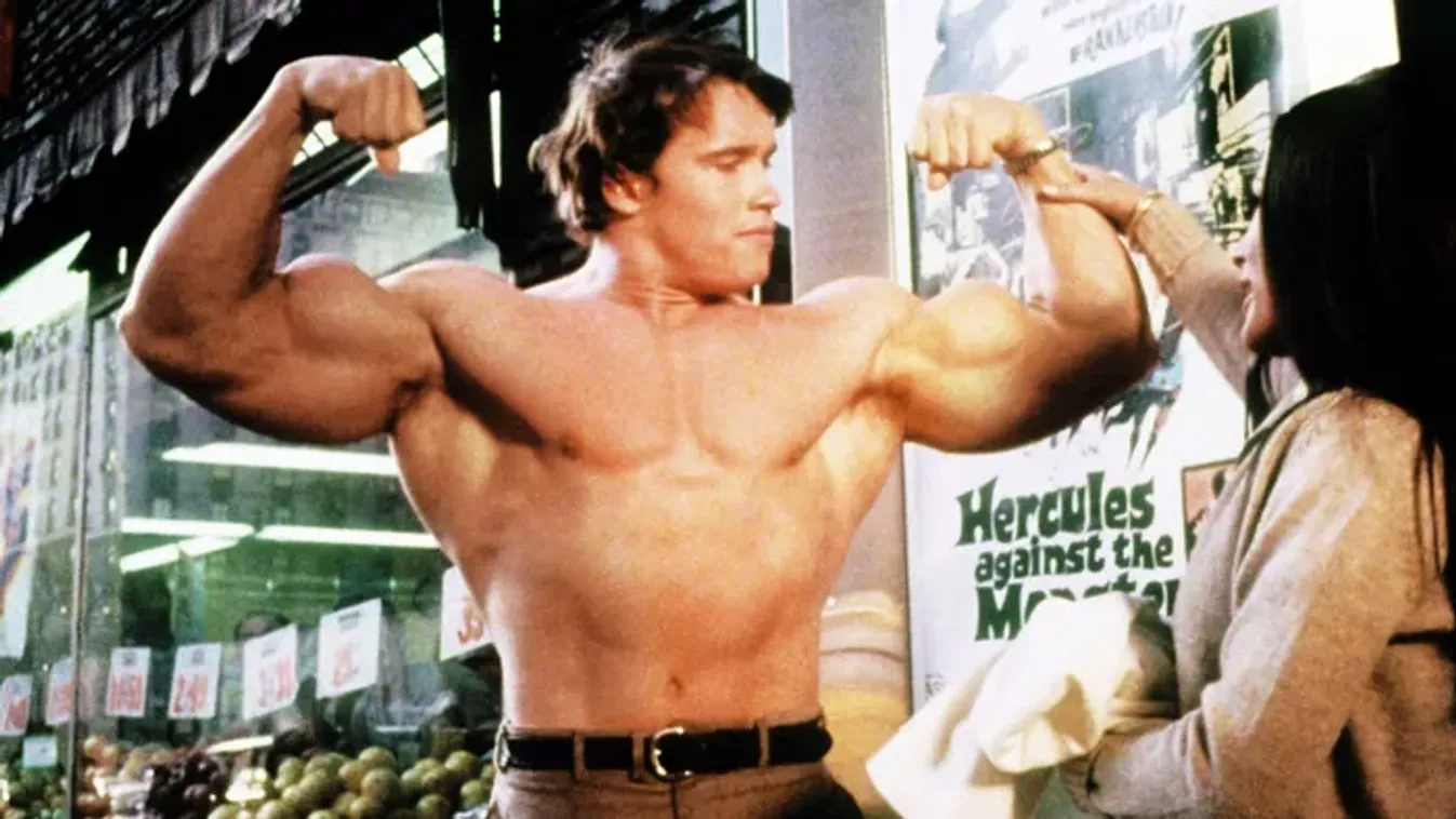 „Hasta la vista, baby" – mennyit tudsz Arnold Schwarzeneggerről? – Kvíz, a legnagyobb rajongóknak