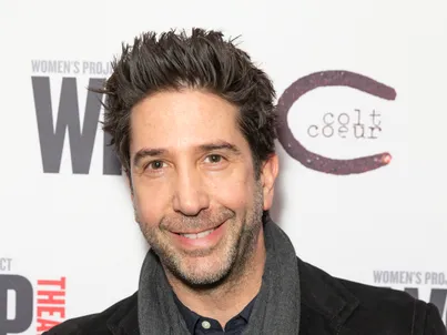David Schwimmer  képe