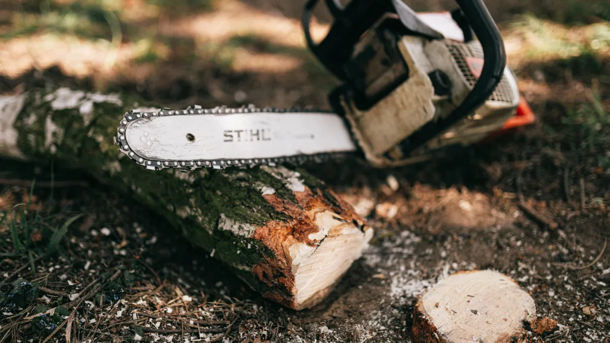 láncfűrésszel, Pexels illusztráció