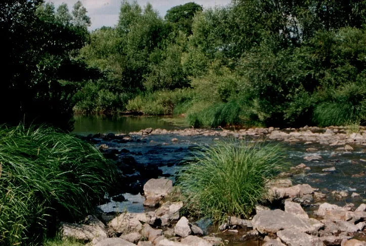 Felső-Tisza vidék, Túr patak, part menti környezet