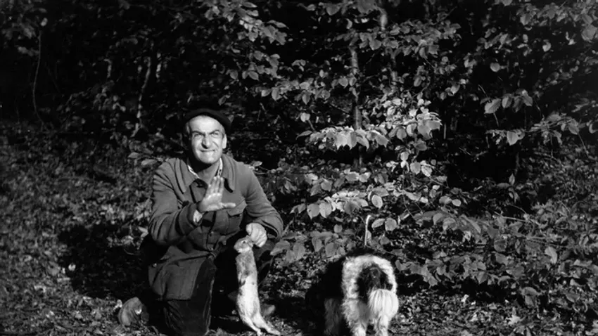 Louis de Funès legjobb filmjei