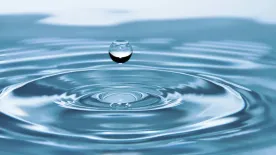 Buborékos csoda? Ezért segíthet a szénsavas víz a fogyásban!