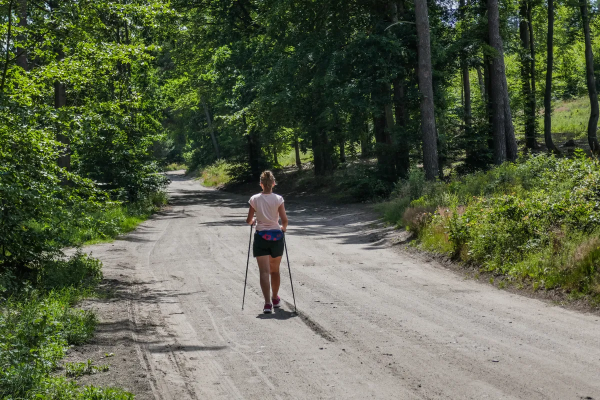 nordic walking, sport, kirándulás, túra