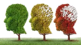 Hihetetlen felfedezés: két hétköznapi gyógyszer visszafordíthatja az Alzheimer-kórt