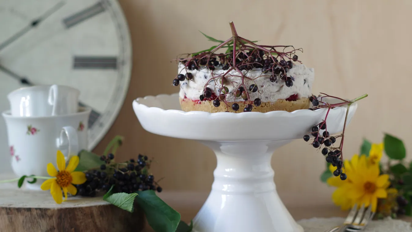 Érik a bodza: 3 ellenállhatatlan recept, amit még idén nyáron ki kell próbálnod