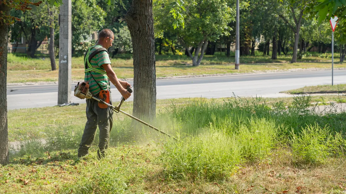 Burjánzik a parlagfű? Mutatjuk, hol jelentheted be, ha a szomszéd nem kaszál