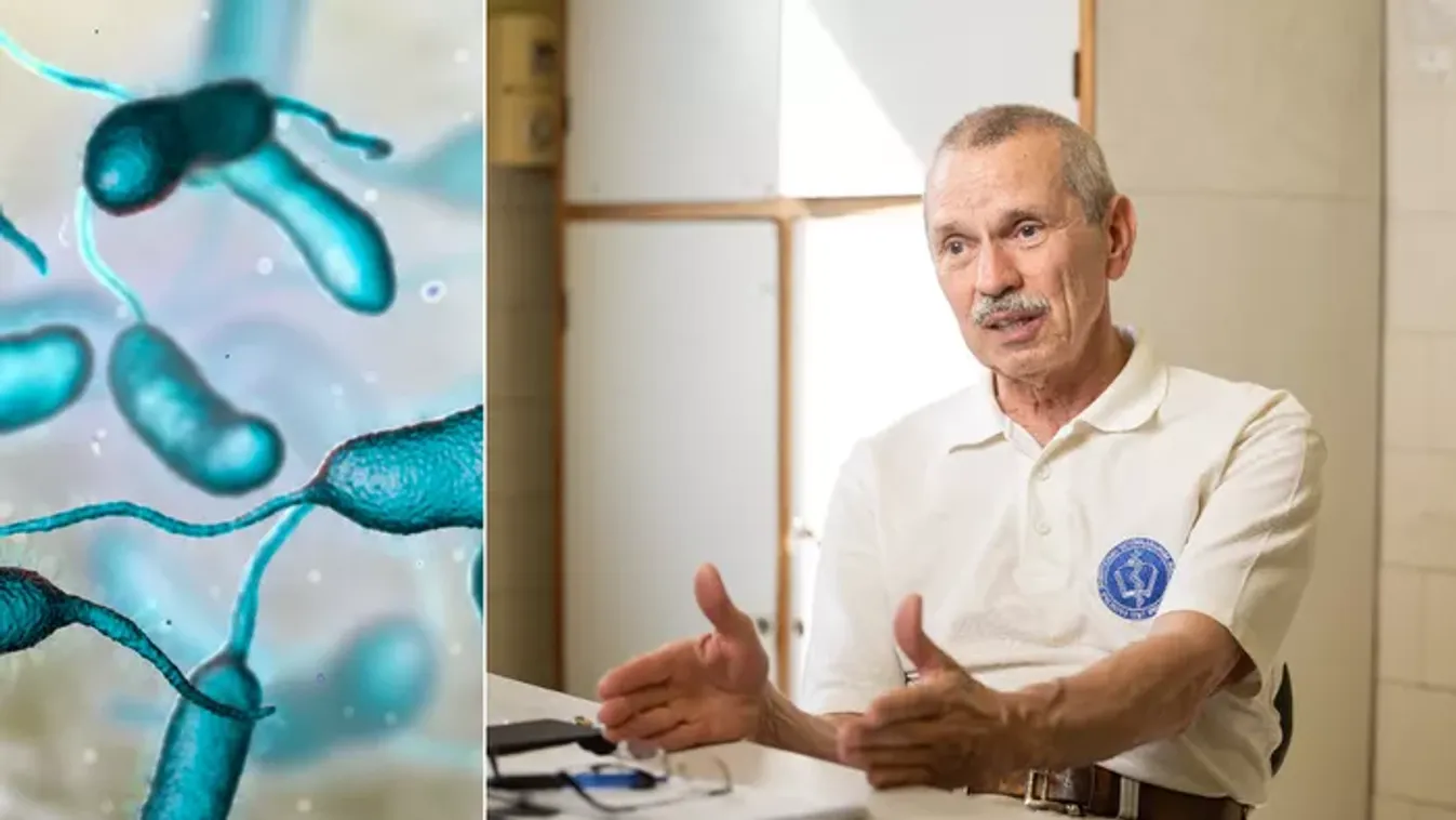 Nyílt seb, amputálás: támad a vibrio baktérium, de van ok a félelemre?