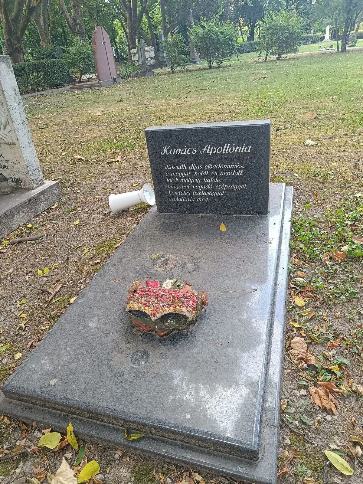 Kovács Apollónia