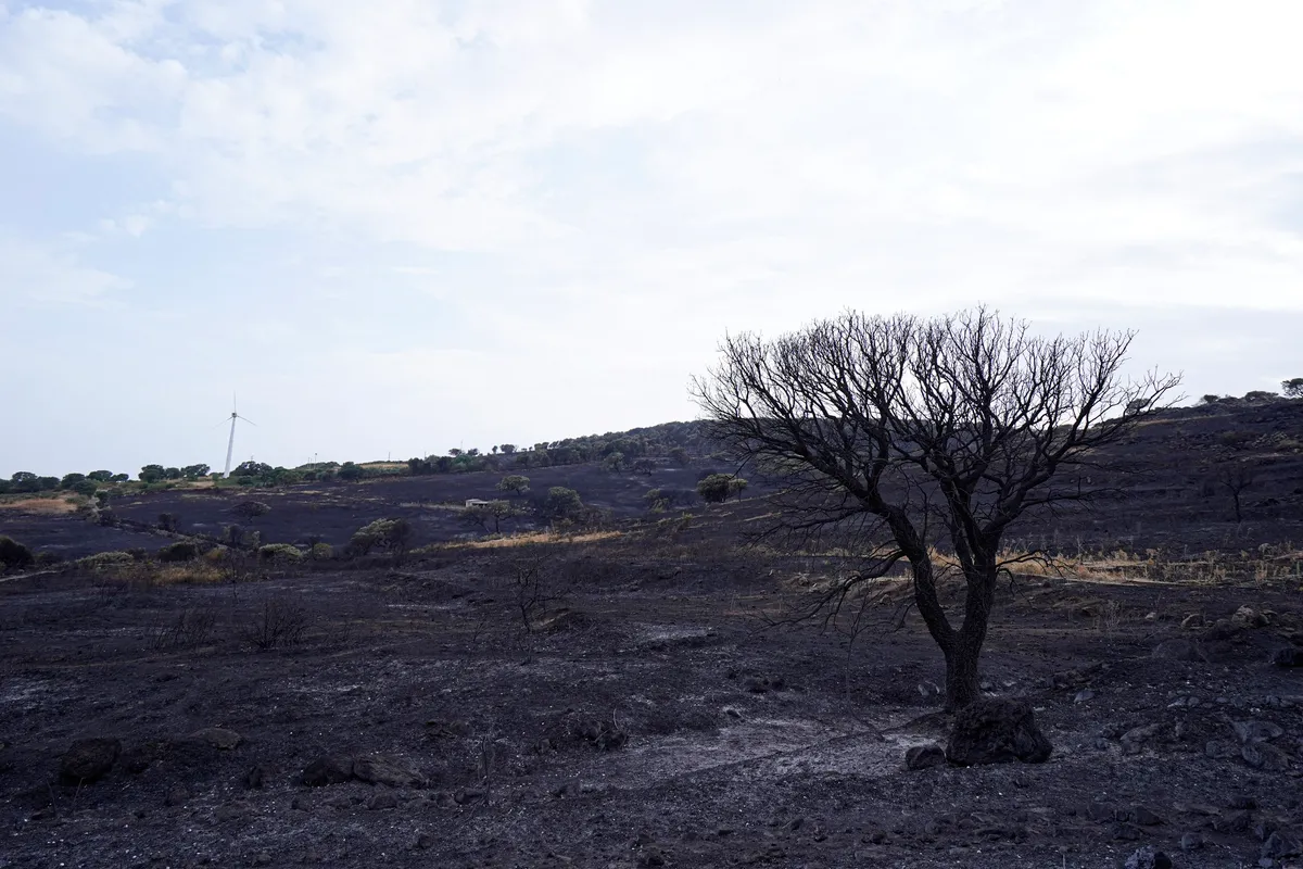 ITALY-SARDINIA-ORISTANO-WILDFIRES
