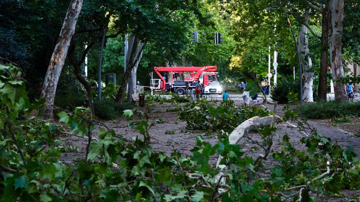 A vihar miatt több család is napokig áram nélkül maradt