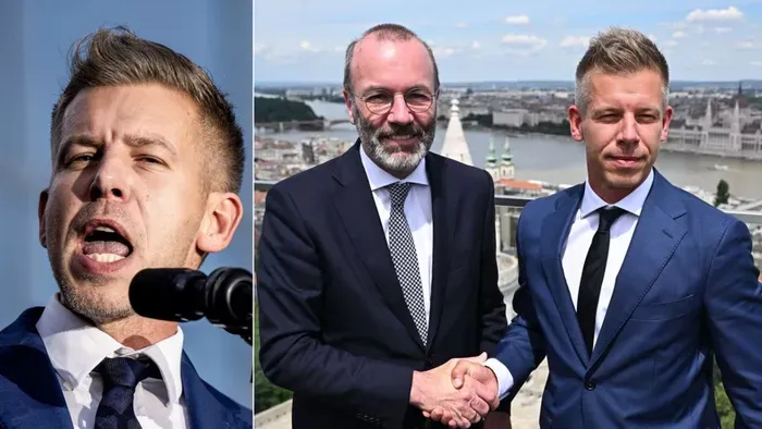 Magyar Péter vagyonnyilatkozata: Kifosztotta volt feleségét