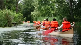 Vízibicikli, kajak, SUP, kerékpár: ugyanúgy jár a büntetés ittas vezetésért? Mutatjuk!
