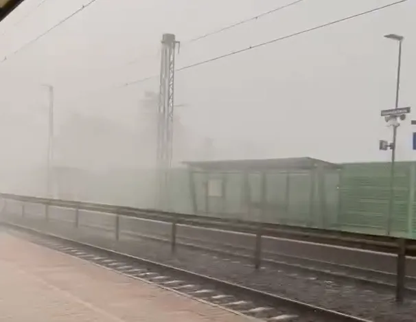 vihar